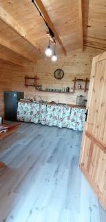 Chatka na Wzgórzu, Jacuzzi, Staw z możliwością łowienia ryb, Cisza, Spokój - Barczewo - 1