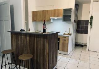 Appartement 3 chambres proche centre ville - Carcassonne - 5