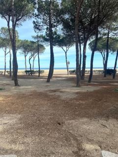 Appartement t3 à 20m de la plage - 9