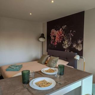 Appartement proche du centre - Mulhouse - 1