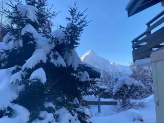 Appartement dans chalet Les Deux Alpes - Les Deux Alpes - 7