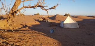 Sahara wild camping - 7