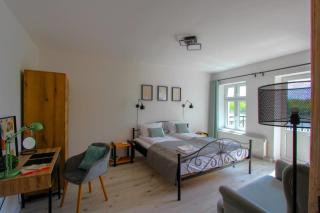 Widok na Wisłę by Rentoom - Toruń - 7