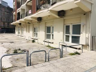 Palme - Lido degli Estensi - 5