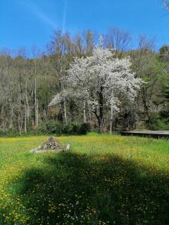 Ostello La Miniera - 3