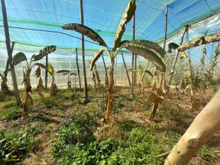 Le Khaïma Bio, Oasis écologique au bord de l'océan - Douaïra - 6