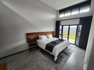 Bald Ibis (856 Highland Gate) - 2