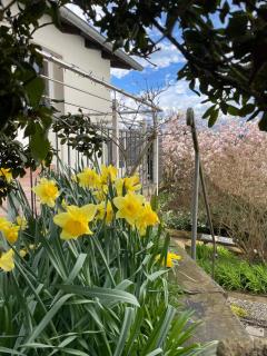 Ferienhaus Chalet Andante - 2