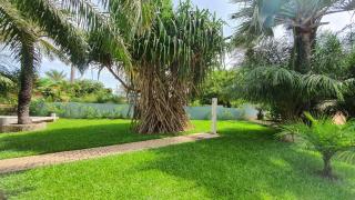 Chez Jacques Diatta - Piscine & Plage - Cap Skirring - 6