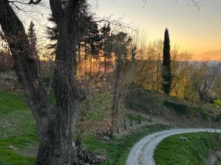 Monte Cuccolo House B&B - Fontanelice - 5