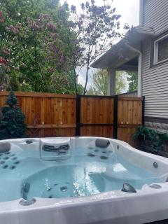 Historic Home with Outdoor Hot Tub Near Downtown in Public Transportation Hub - Chicago - 9