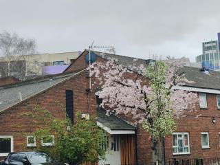Clifton House O2 & Excel Rooms with private bathroom and Breakfast option - Londra - 9
