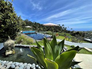 Horizon Retreat - Calheta - 9