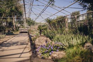 Ros'e Mari Green Home Hotel - Oristano - 9
