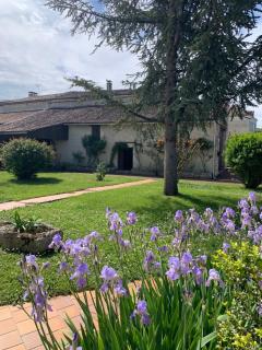 The Cool Lounge à Coulonges - Charente - Coulonges - 2