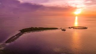 Coco Bodu Hithi - 50 percent off shared roundtrip Speedboat for stays from 1 May to September 2025 - Noordelijke Malé-atol - 1