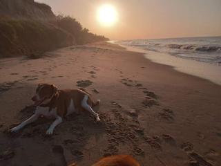 Habitación Dibulla la Guajira - 5
