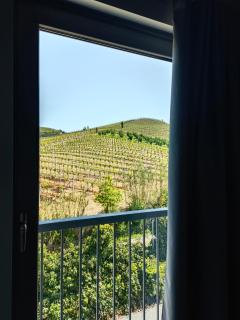 Agriturismo Demarie - Vezza d'Alba - 5