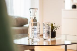 Special EiNSTEiN II Apartment Basel, Messe Kleinbasel 10-STAR - Basilea - 8