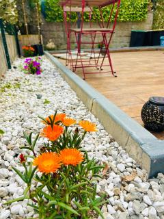 Pink House Garden - Monterosso al Mare - 3