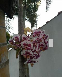 Casa aconchegante praia Martim de Sá - Caraguatatuba - 1