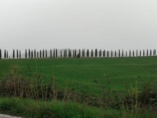 Ai 4 gatti - Asciano - 7