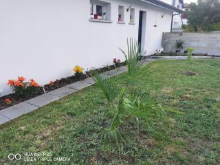 Landes Conviviales MAISON ENTIERE, 40 - Saint-Vincent-de-Tyrosse - 2