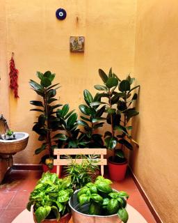 La Casa dei Librai - 4