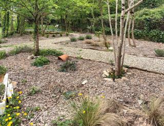 Au bord de la rivière - 5