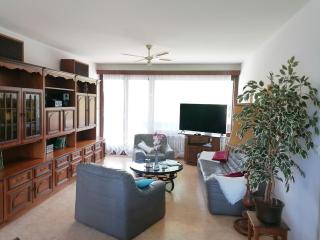 Appartamento Roby - Solduno - 4