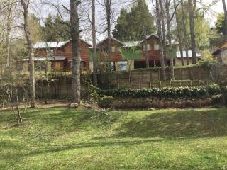 Cabaña rodeada de bosque nativo para 12 c parrilla - San Martín de los Andes - 0