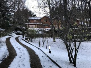 Cabaña rodeada de bosque nativo para 12 c parrilla - San Martín de los Andes - 7