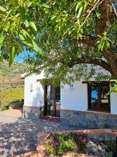 Cortijo Airen - Cómpeta - 9
