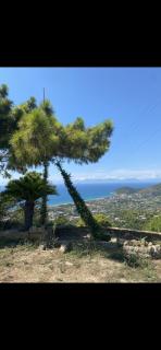 Le tre stelle - Castellabate - 0