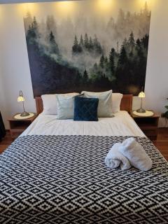 Apartament11 Brzozowa 5minut Krupówki, garaż - Zakopane - 0