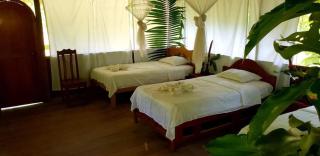 Amazon Tropical Expeditions - Iquitos - 2