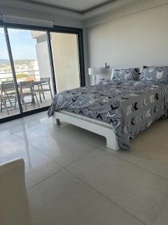 cannes seaview penthouse - Cannes - 8