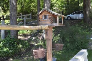 Guppies Lakehouse-Prvt. Lake Acc, Close to Rainier - Graham - 6