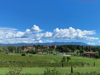 Villa Rose - - 1