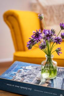 Villa Siraino - Ktima Skopelos - 1