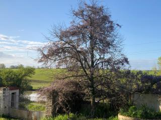 La Bastilac chambre Nature - 2