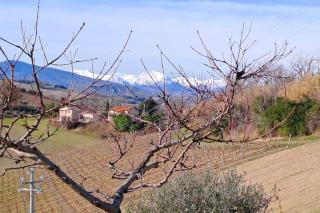 Casa rustica con vista meravigliosa - San Giovanni in Strada - 6
