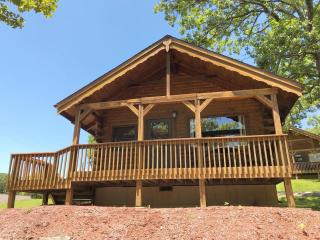 Mill Creek Resort on Table Rock Lake - Lampe - 8