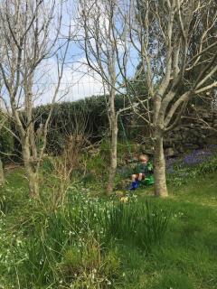 Shore Cottage on the Beara Way Wild Atlantic Way - 9