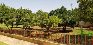 VILLA PLAISANCE - Meknès - 4