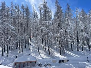2 pièces, au pied des pistes ds Résidence Gd Hôtel - Valberg - 4