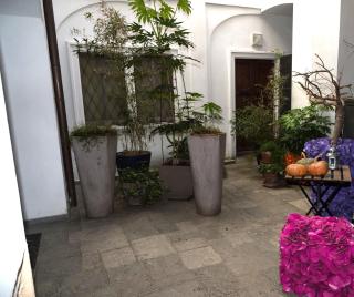 In pieno centro storico Ca Marì e Casa Elena - 1