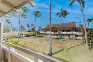 Plantation Hale H12 - 8