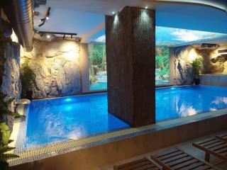 Tesoro apartmani Spa&Wellness - Zlatibor - 9