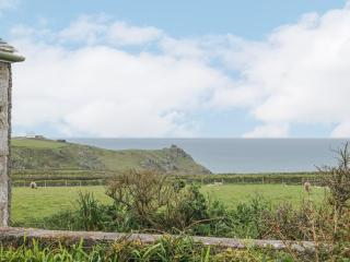 Parc An Castle Cottage - 8